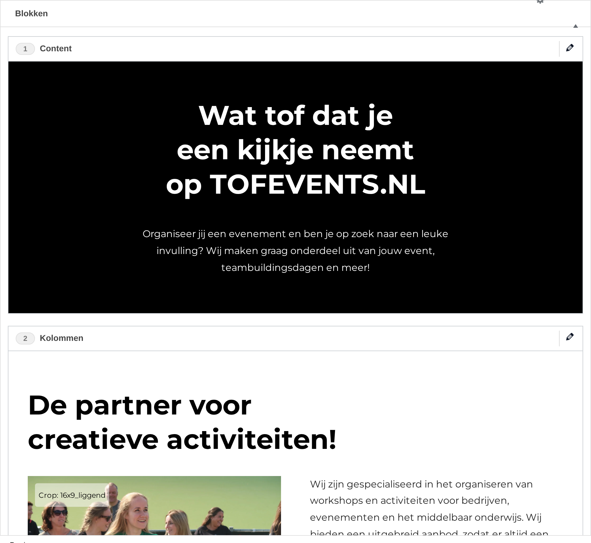 Het vak Blokken in het CMS, met de velden van deze laag.